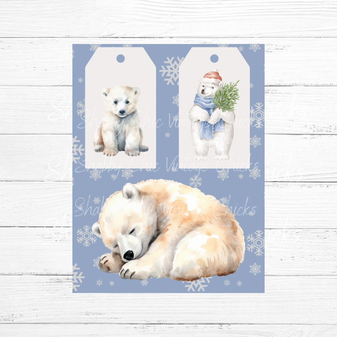 Polar Bear Tags and Scene