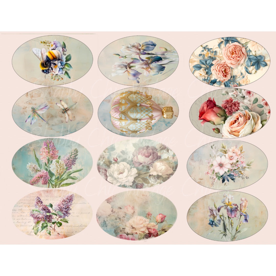 Spring Summer Ovals