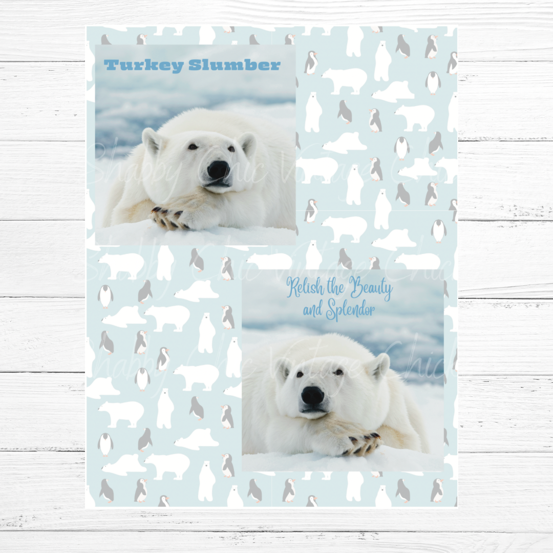 Polar Bear Squares