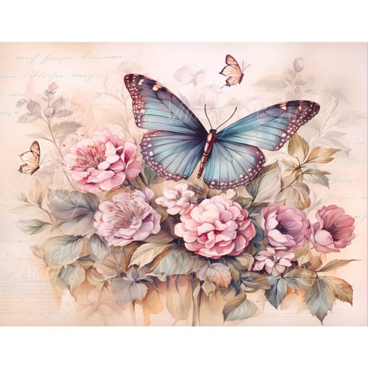 Butterfly_April24_002
