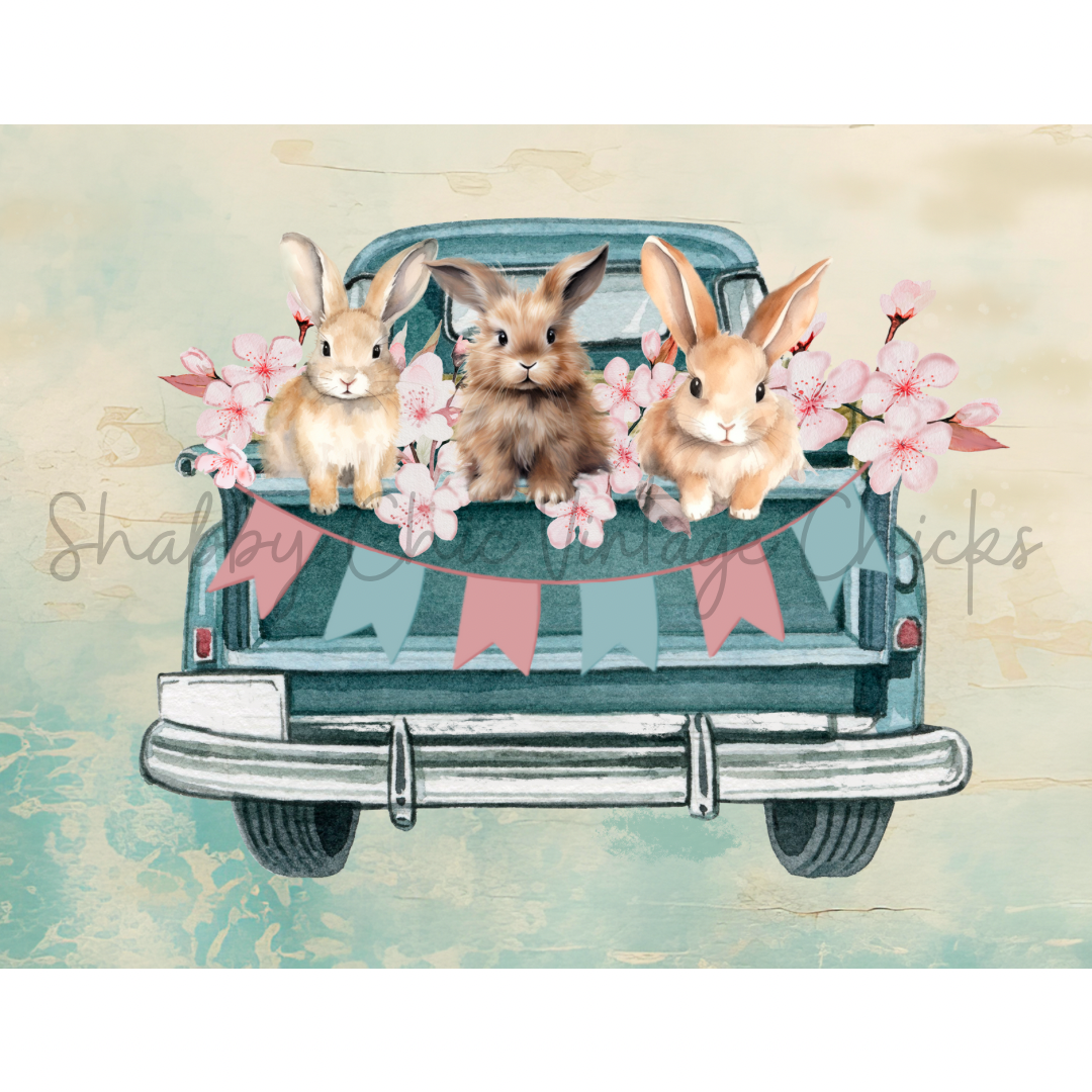Load of Bunnies
