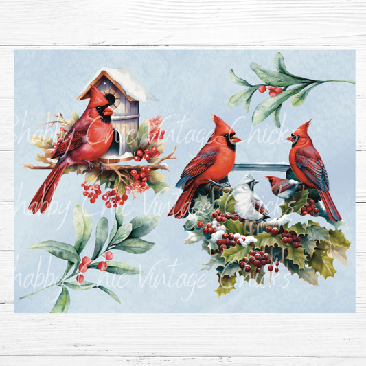 Light Cardinals and Holly