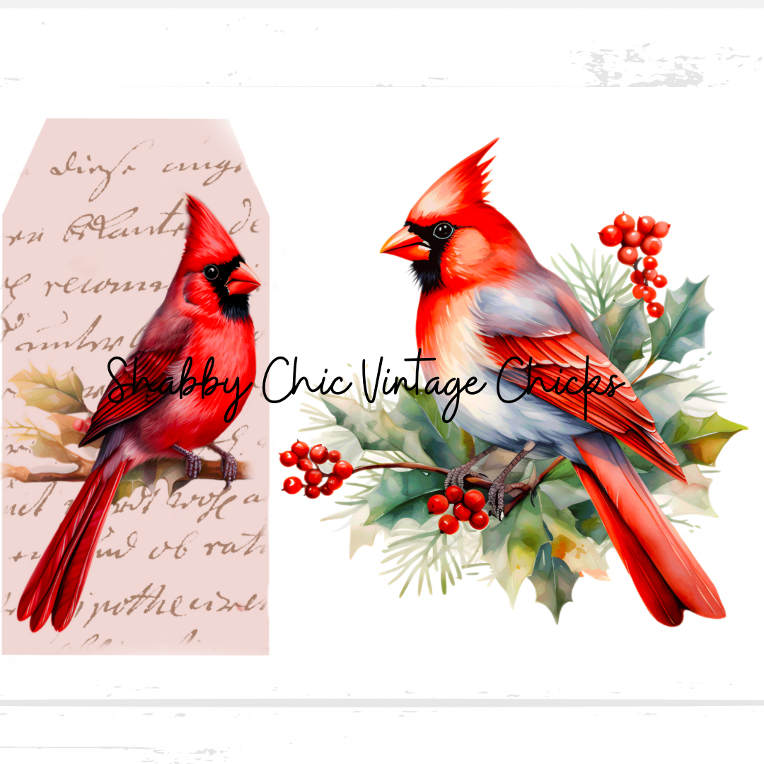 Cardinal and Tag