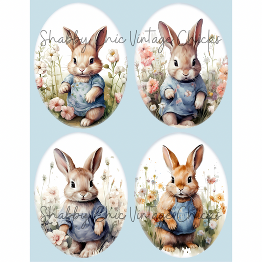 Rabbit Ovals 001