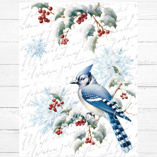 Christmas Bluebird