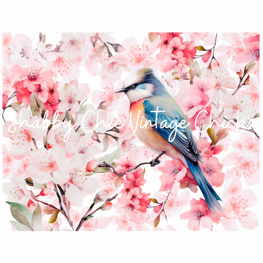 Blossom Bird