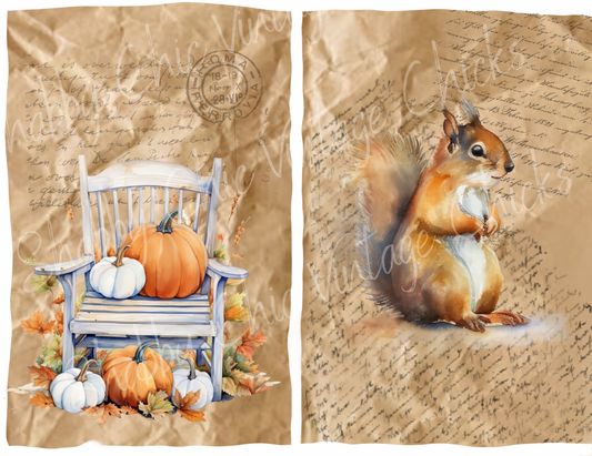 Autumn Leisure and Autumn Squirrel