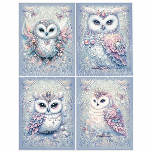 Royale Snow Owls Collage