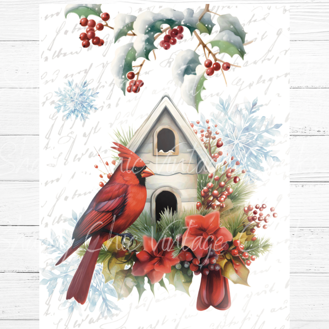 Cardinal Christmas