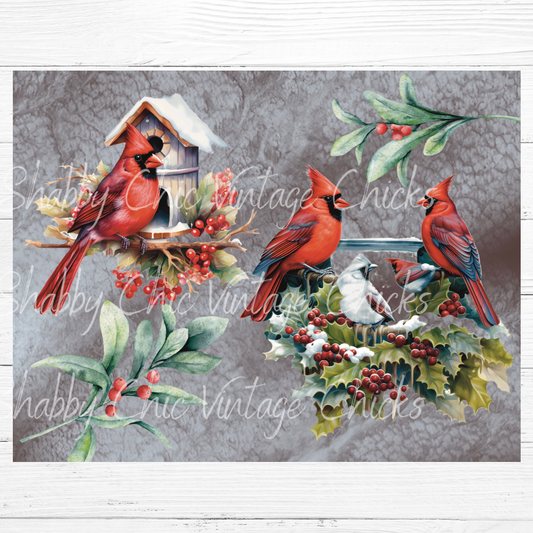 Cardinals and Holly