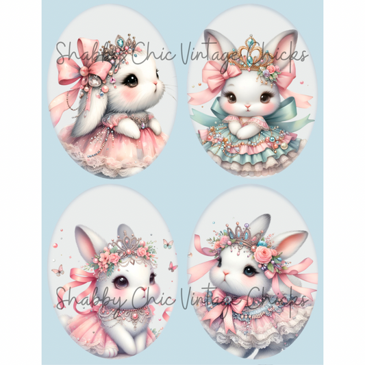 Rabbit Ovals 003