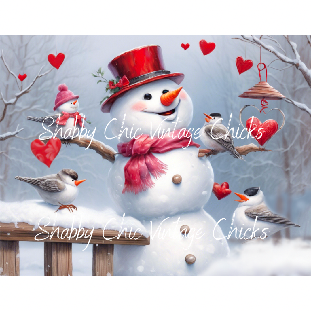 Frosty Love For Feathered Friends