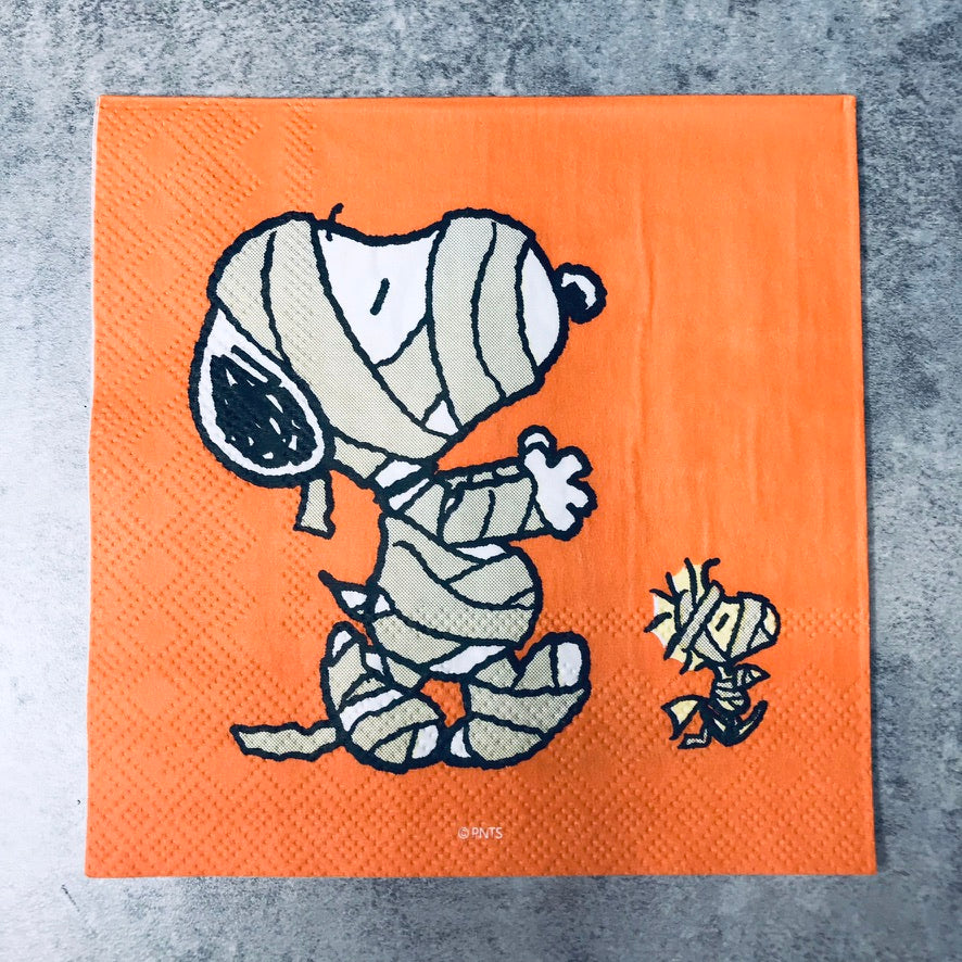Snoopy Mummified