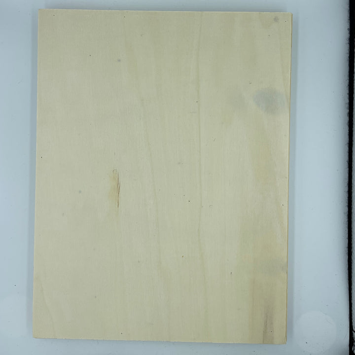 9" x 11" Wood Frame Panel