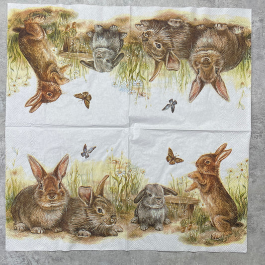Bunny and Clyde Dinner Napkin