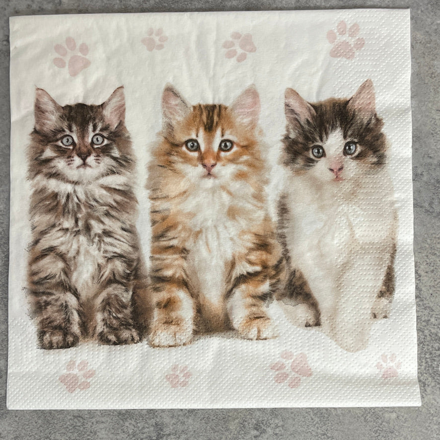 Kittens and Pawprints napkin
