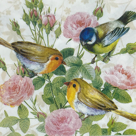 Spring Birds and Roses