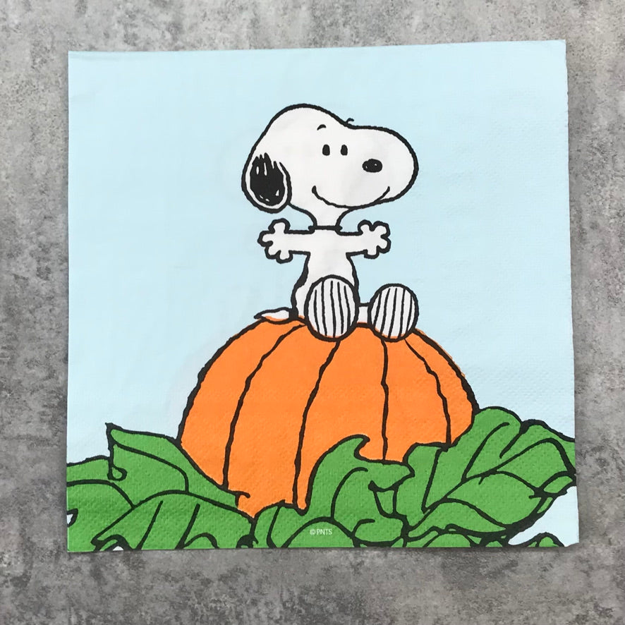 Snoopy Pumpkin