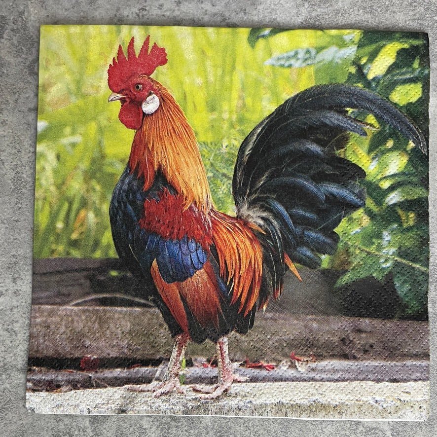 Colourful Proud Rooster Napkin